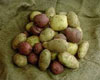 veg_potatoes.jpg